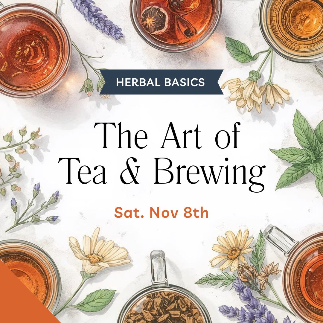 The Art of Tea & Brewing-Nov 8th at Sat, Nov 08, 2025 04:00 PM CST