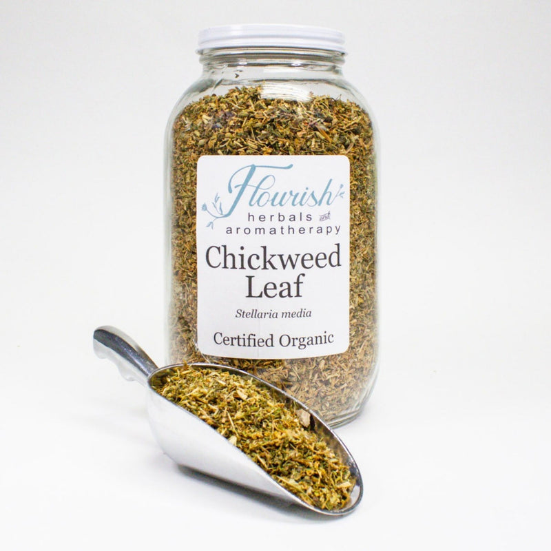 Chickweed Bulk Organic