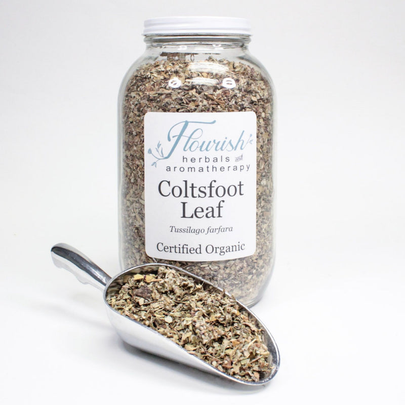 Coltsfoot Leaf-Organic Bulk
