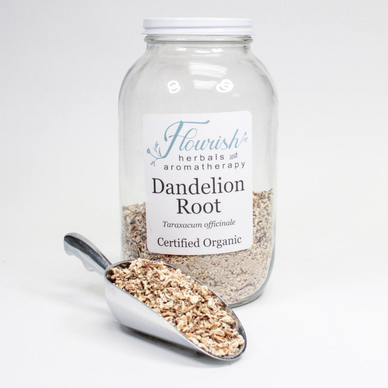 Dandelion Root-Organic Bulk