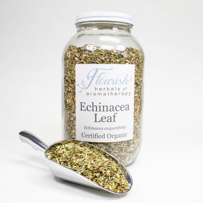 Echinacea Leaf-Organic Bulk