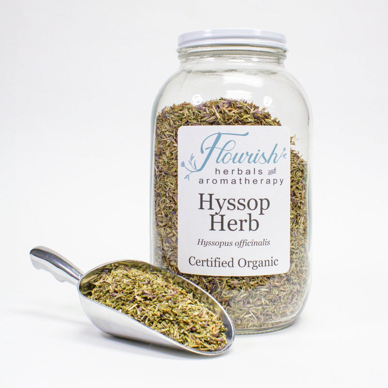 Hyssop Herb Bulk 1oz
