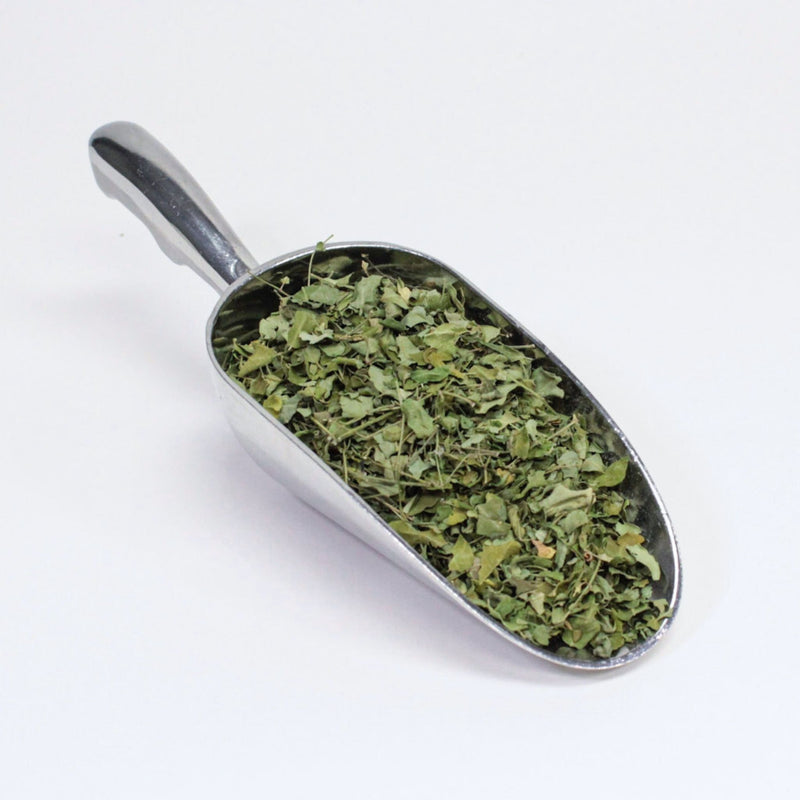 Moringa leaf -Bulk 1oz - organic