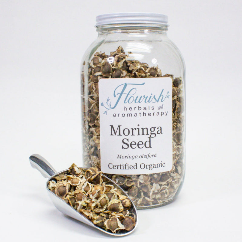 Moringa Seed - Bulk 1oz- Organic