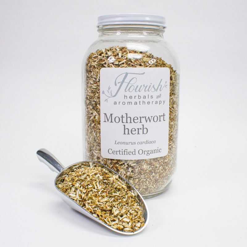 Motherwort Herb Organic Bulk 1oz