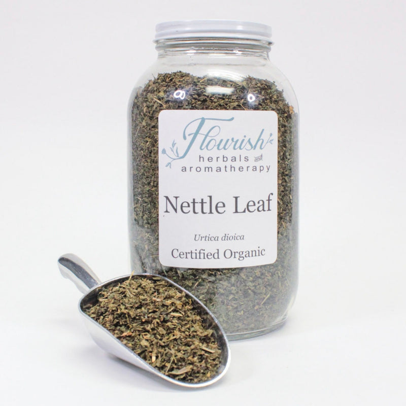 Nettle Leaf-Organic Bulk