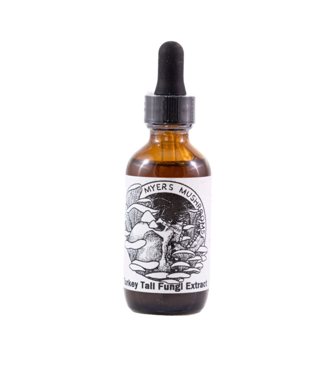 Turkey Tail Mushroom Tincture