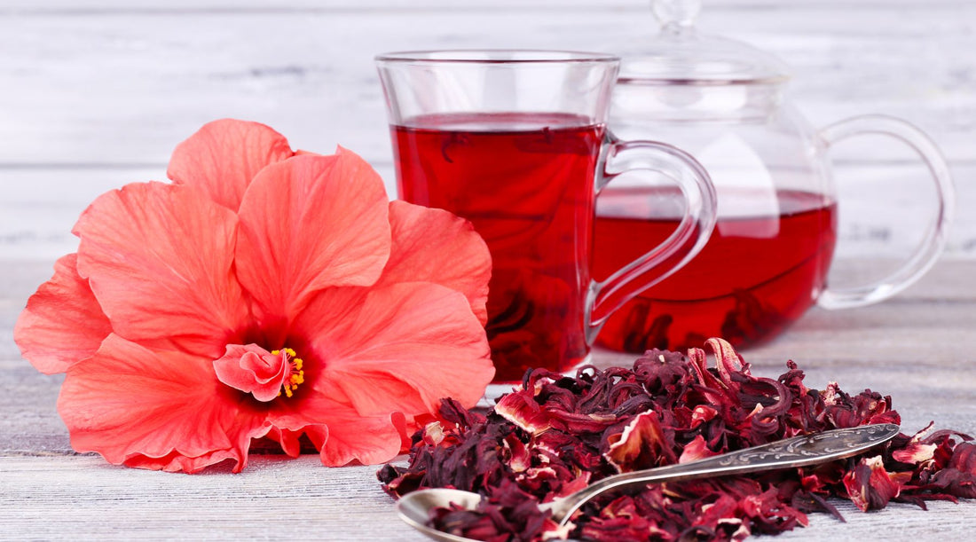 Herb of the Month: Hibiscus
