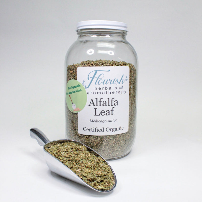 Alfalfa Leaf - Biodynamic Loose Leaf Herbal Tea