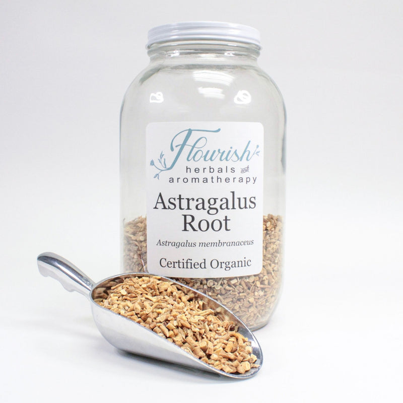 Astragalus Root - Organic