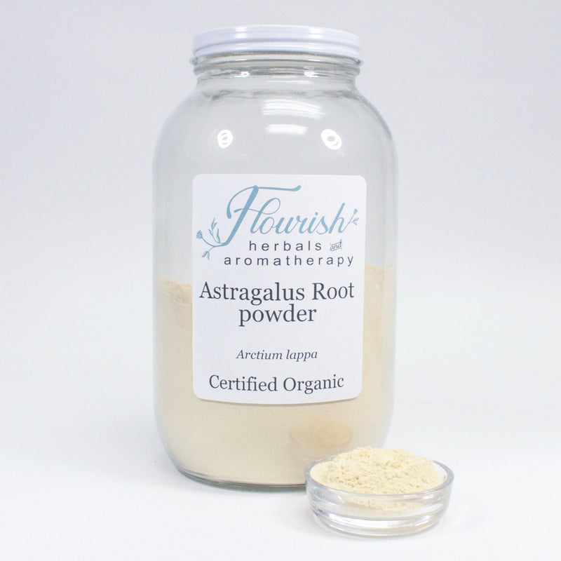 Astragalus Root Powder - Organic