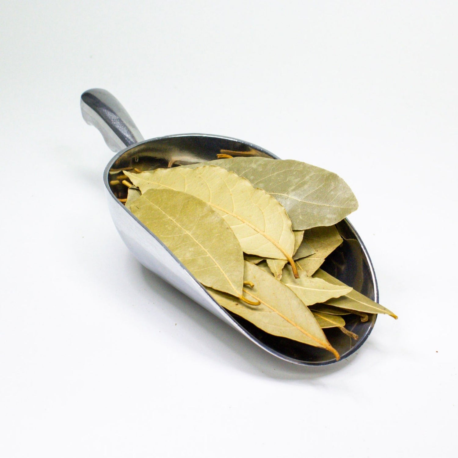 Bay Leaf