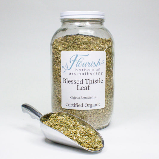 Blessed Thistle Organic Bulk 1 oz