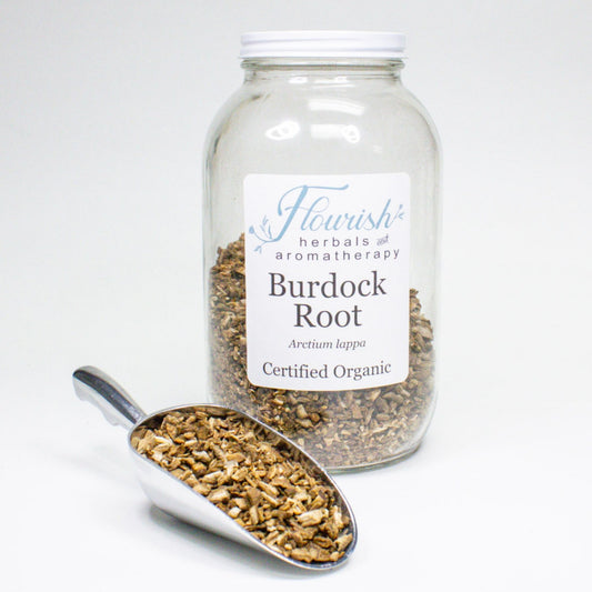 Burdock Root Organic Bulk