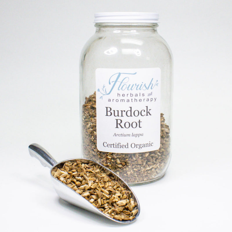 Burdock Root - Organic Cut & Sifted