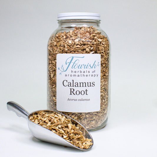 Calamus Root Bulk 1oz