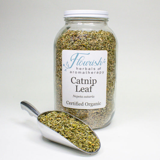Catnip