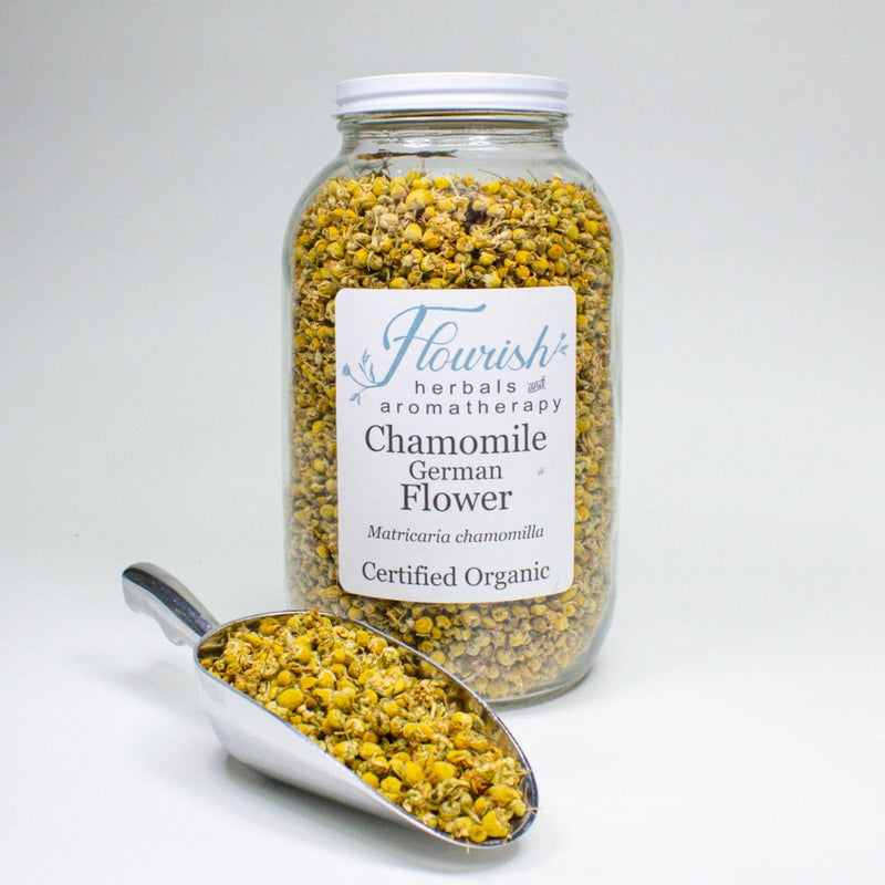 Chamomile Flower - Organic