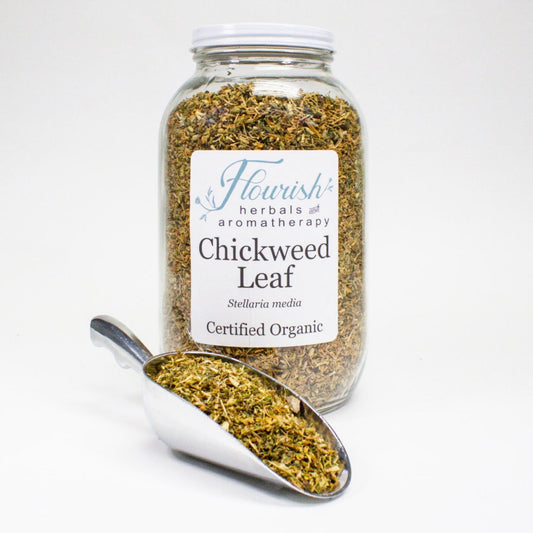 Chickweed Bulk Organic