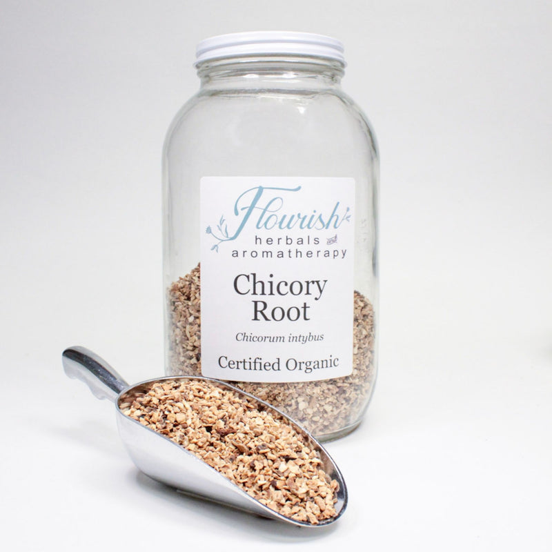 Chicory Root - Organic