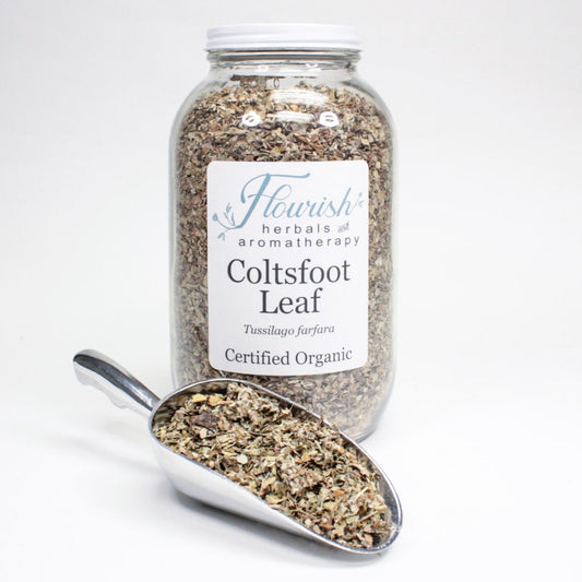 Coltsfoot Leaf-Organic Bulk