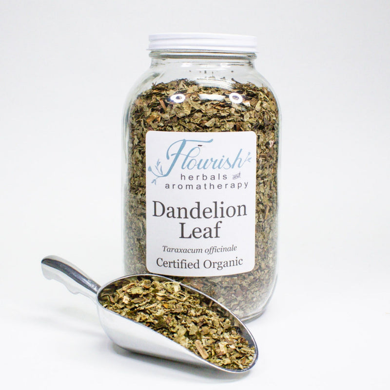 Dandelion Leaf - Organic