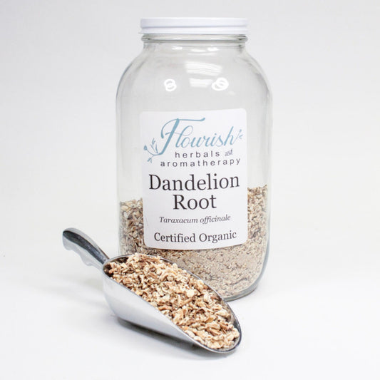 Dandelion Root-Organic Bulk