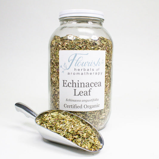 Echinacea Leaf-Organic Bulk