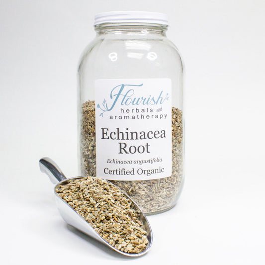 Echinacea Root-Organic Bulk