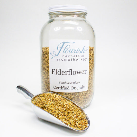 Elderflower-Organic Bulk