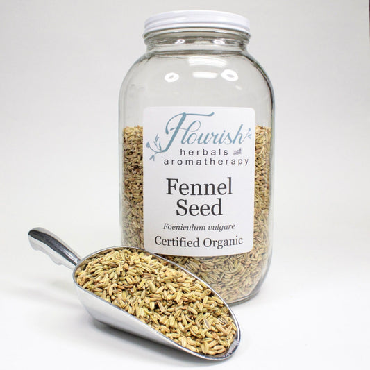 Fennel Seed-Organic Bulk