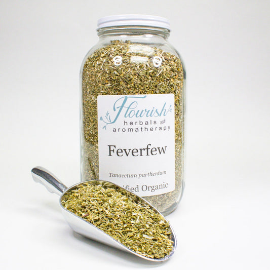 Feverfew - Organic