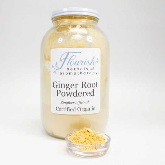 Ginger Root Powder - Organic