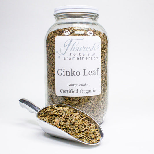 Ginko Leaf Organic Bulk 1oz