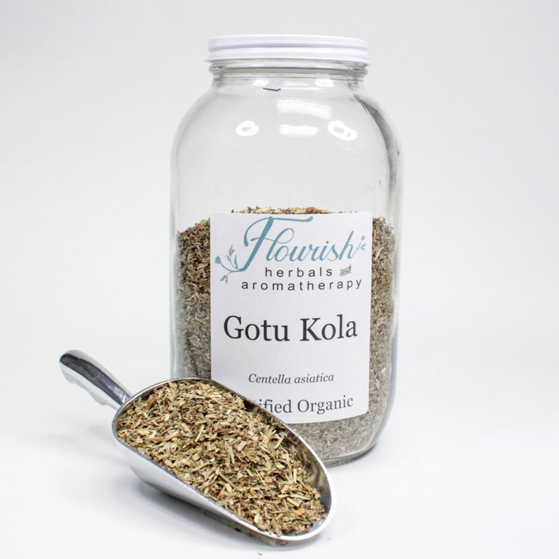 Gotu Kola - Organic