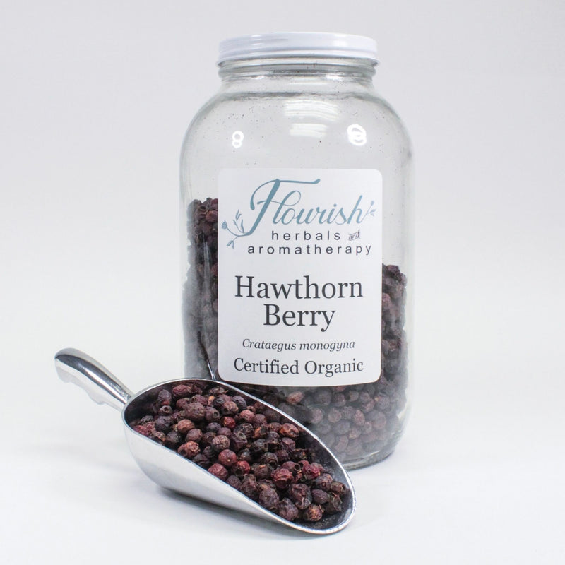 Hawthorn Berry - Organic