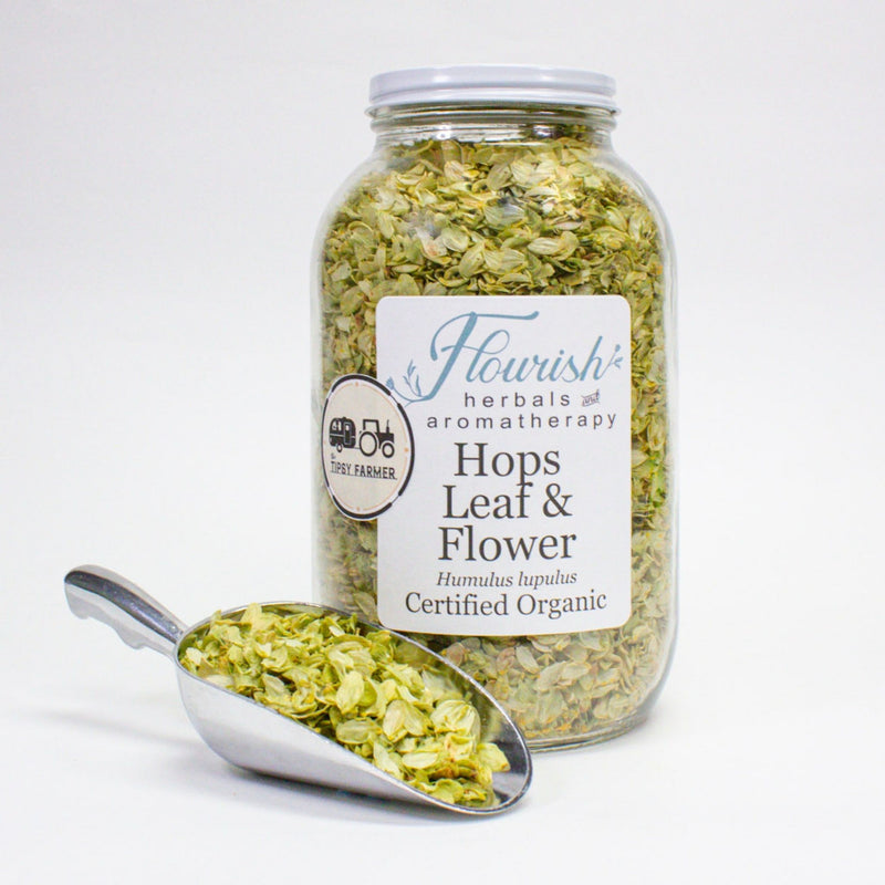 Hops Flower - Organic Whole Flowers