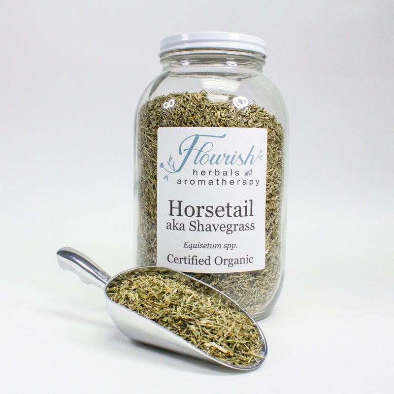 Horsetail Bulk 1oz