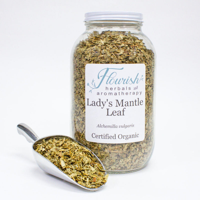 Lady's Mantle - Organic