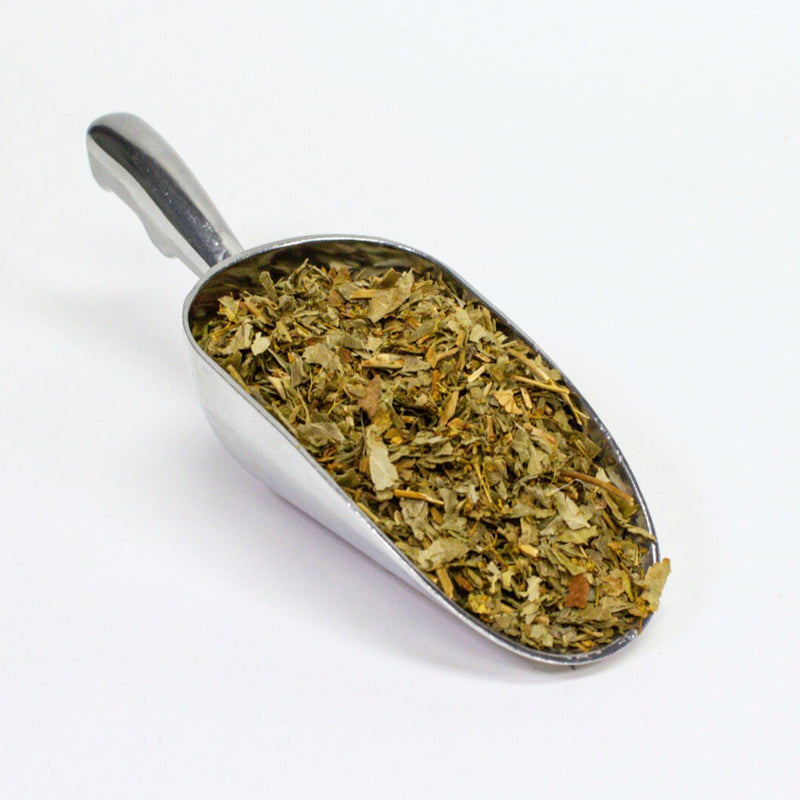 Lady's Mantle - Organic