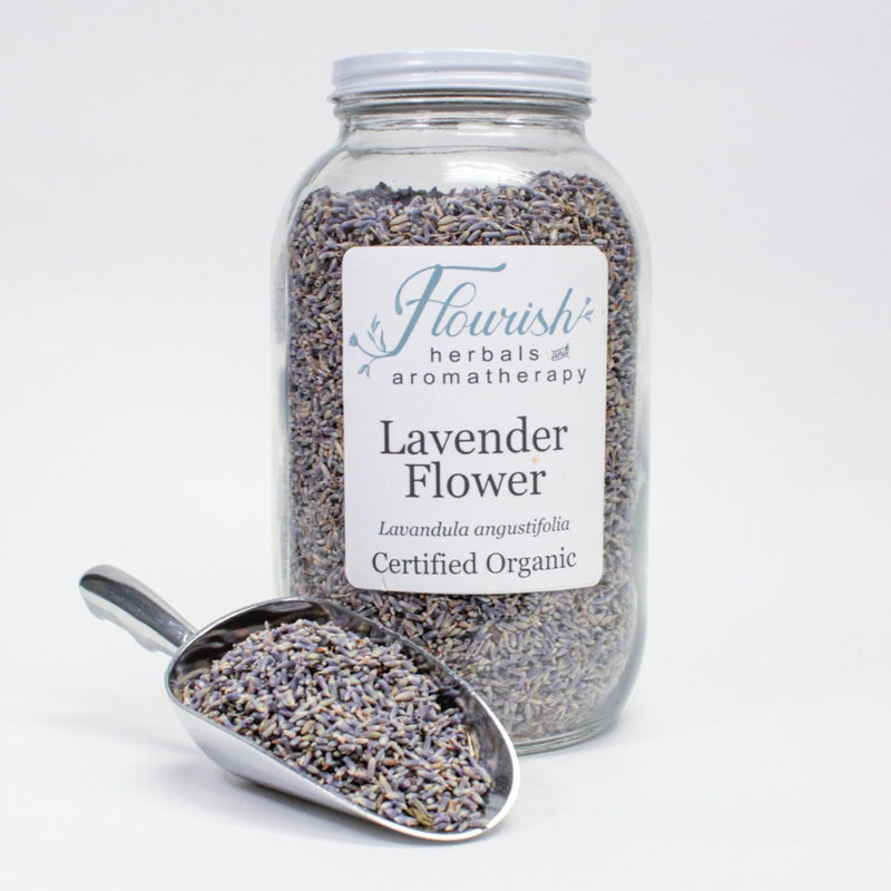 Lavender Bud - Organic