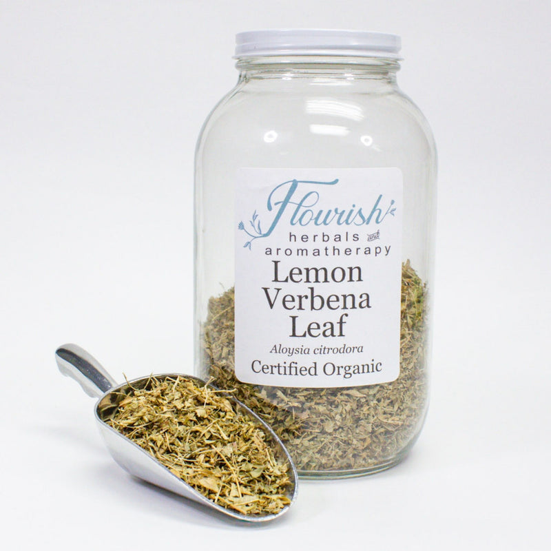 Lemon Verbena Leaf - Organic
