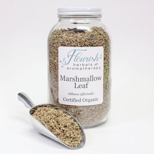 Marshmallow Leaf- Organic Bulk