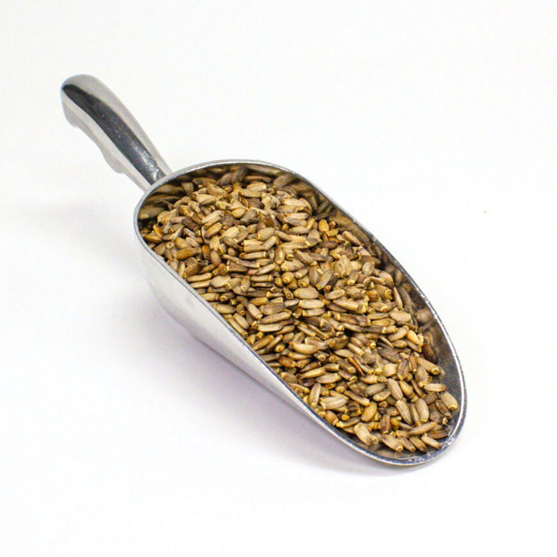 Milk Thistle Seed - Organic