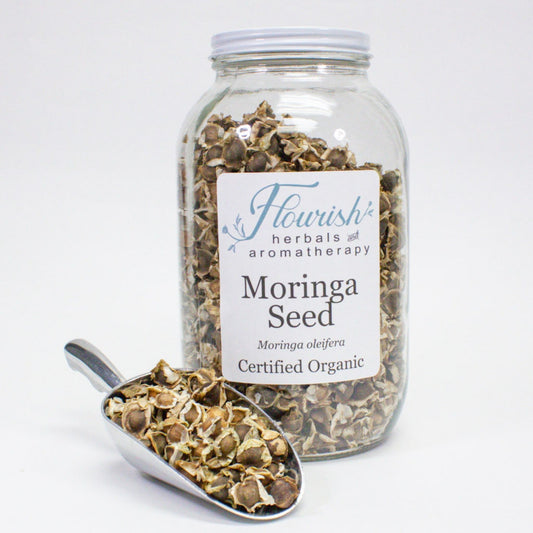 Moringa Seed - Bulk 1oz- Organic