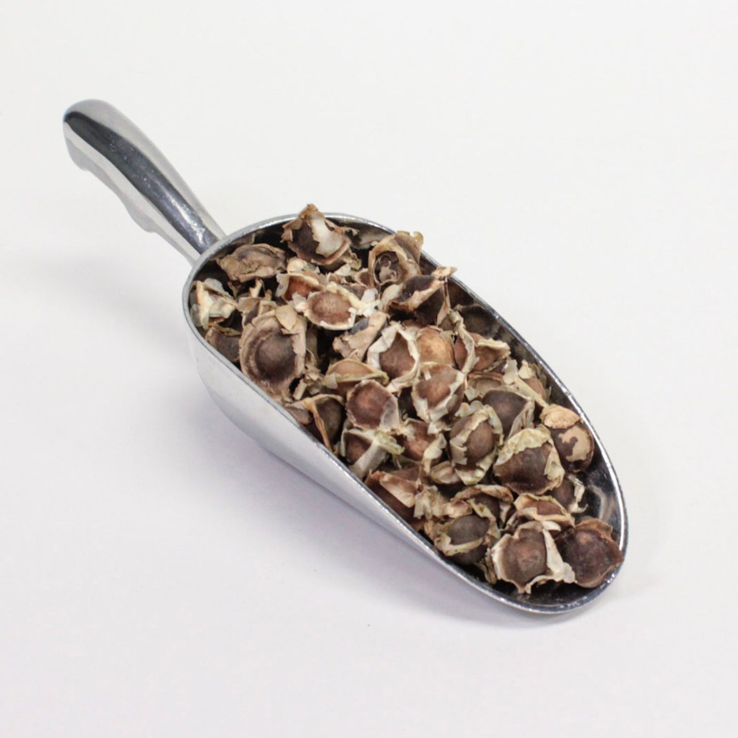 Moringa Seed - Bulk 1oz- Organic