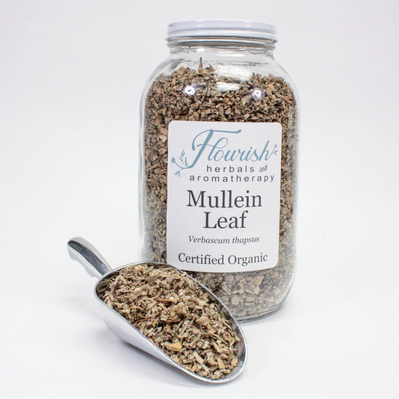 Mullein Leaf - Organic