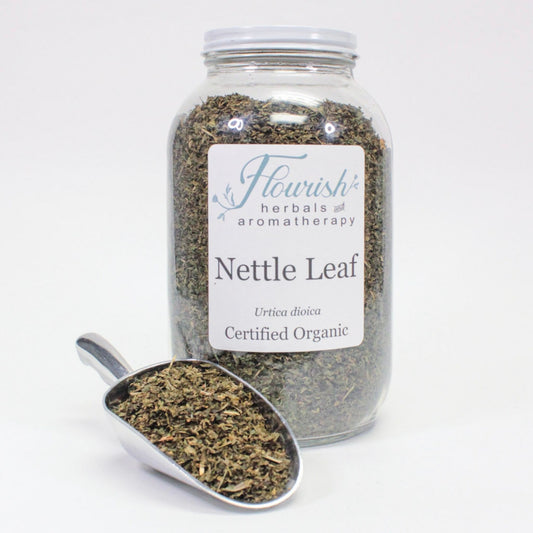 Nettle Leaf-Organic Bulk