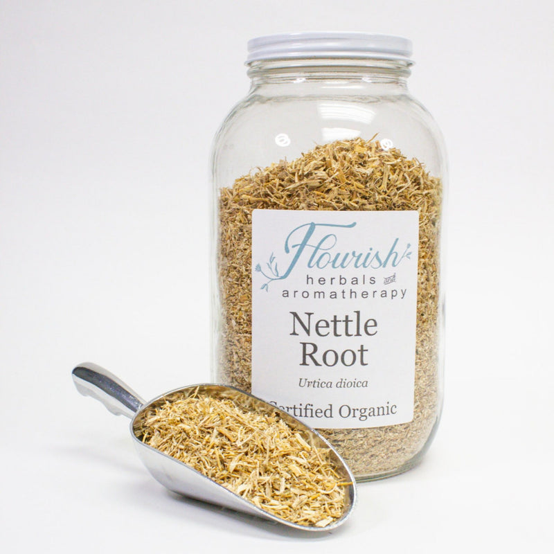 Nettle Root - Organic