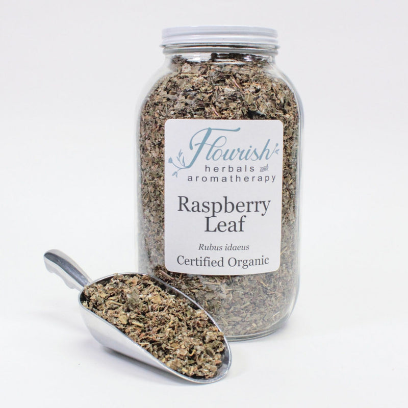 Red Raspberry Leaf-Organic Bulk